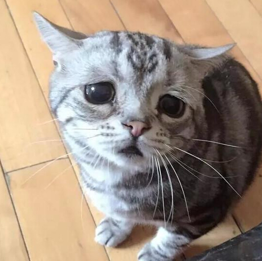 【天下红雨】考前临时抱佛脚——天天心理考前串讲免费送