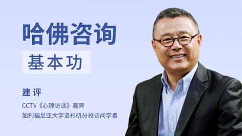 哈佛咨询基本功